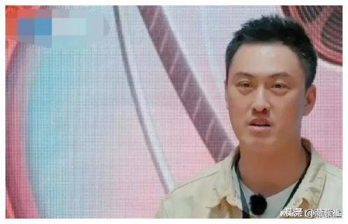 娱乐圈吃瓜爆料李宇春,揭秘背后的真相与争议